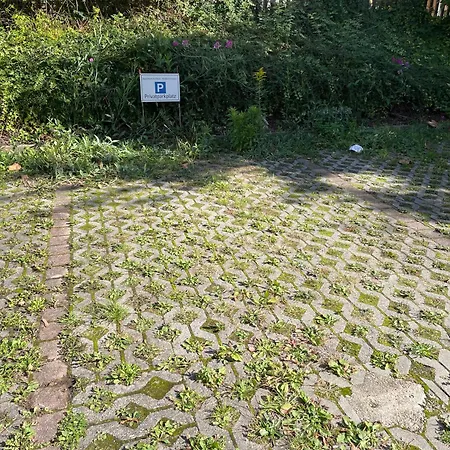 Daire Im Elbtal Meissen-dresden *